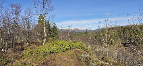 The summit of Sauatona