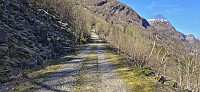 The steep gravel road