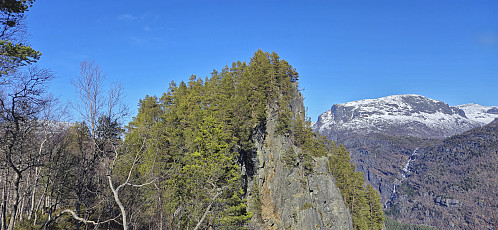 Looking back at Storenuten