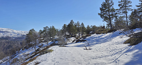 Approaching the summit of Stølsnuten