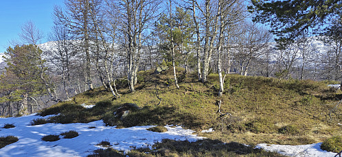 The highest point at Stølsnuten