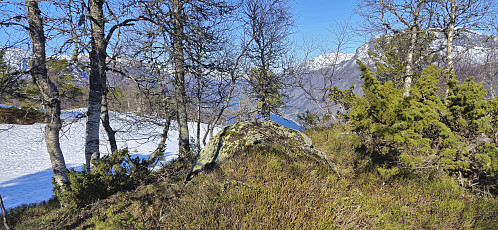 The summit of Stølsnuten with Odda in the background