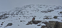 Marked trail to the summit