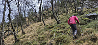 The steep ascent to the ridge