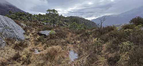 The summit in the distance