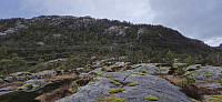 The off-trail start of the hike