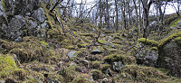 Connecting with the trail/deer track