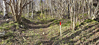 The marked trail