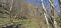 The marked trail