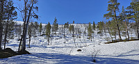 Time to put on the skis!
