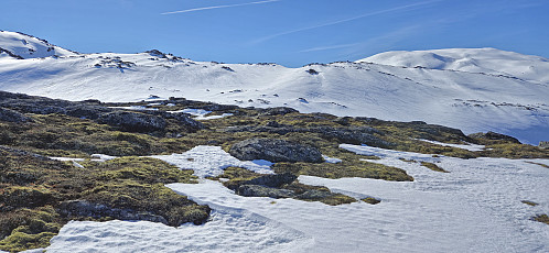 One of the short sections without any snow (from above Vetlavatnet)
