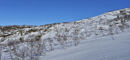 Reascending to Skaret