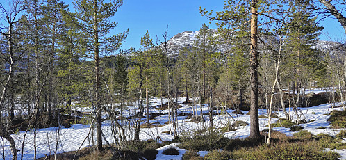 On the way to the bridge at Hellene