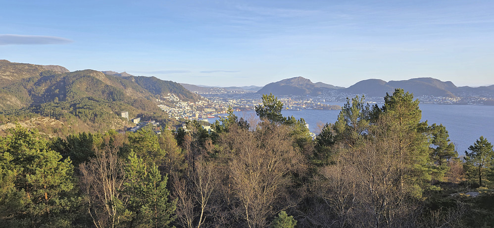 The Bergen city center from Ørneberget