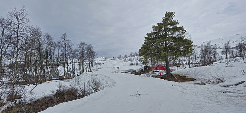 At Skikjelken