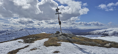 Høgehaug
