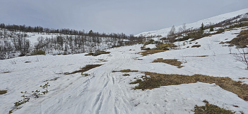The snow is rapidly melting