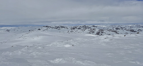 Vargabreen from Flakavassnutane