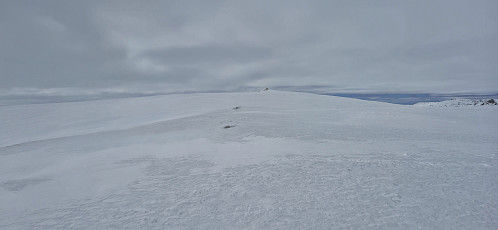 Approaching the summit cairn at Såtehjallane