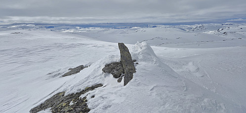 Såtehjallane