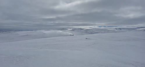 Hardangerjøkulen from Såtehjallane