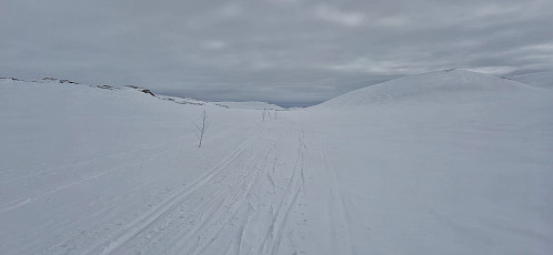 The marked winter route to Finse in the valley just east of Såtehjallane