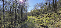 Ascending along the tractor road