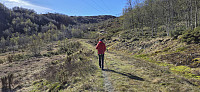 Petter on the tractor road