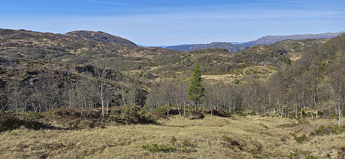 Descending from Hillesdalsfjell to Alsåkerstølen