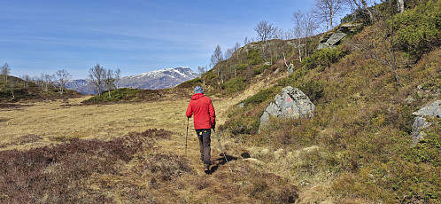 Coming across a trail marker on the way to Steinsvatnet