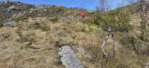 More faint trail markers from the ascent from Steinsvatnet