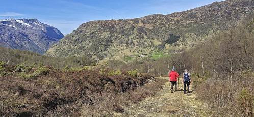 Petter and Kjell following the tractor road back to the car