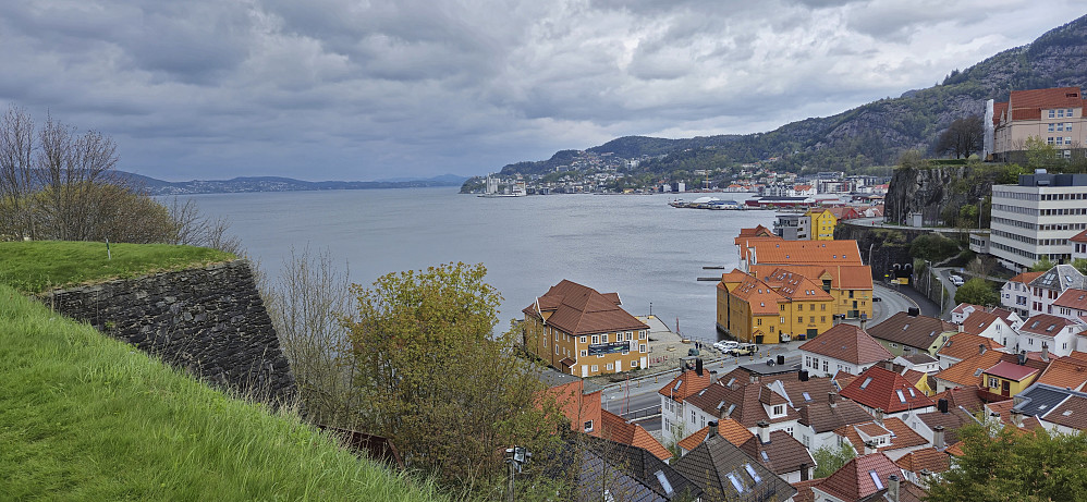 Skuteviken from Sverresborg