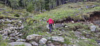 The start of the marked trail