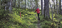 Following the marked trail