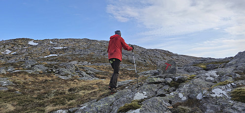 Petter following the red T's