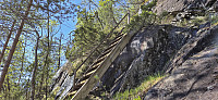 The steep old trail