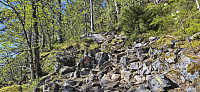 Lots of rocks along the old trail