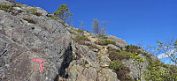 Getting closer to the summit