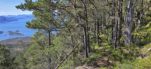Descending via the H-route