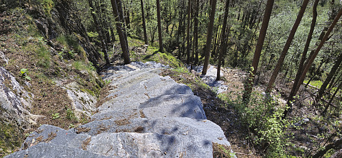 Hardangertrappa