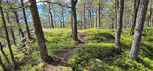 Below Hardangertrappa