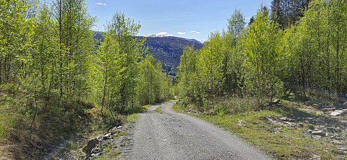 Start of my shortcut to the culture trail