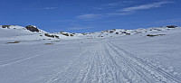 Marked winter route from Finse