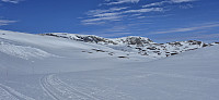 Vargabreen in the distance