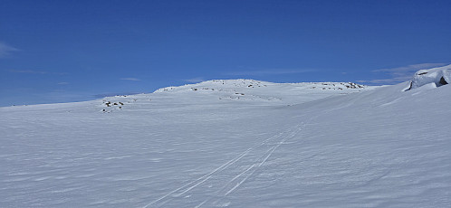 Vargabreen Nord from the southwest
