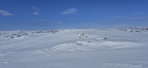 Vargabreen Nord from the highest point at Vargabreen