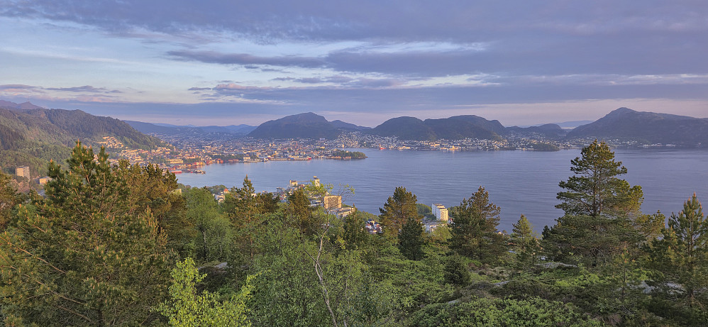 The Bergen city center from Ørneberget