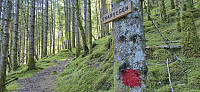 Marked shortcut early on