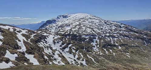Oksen from the northeast